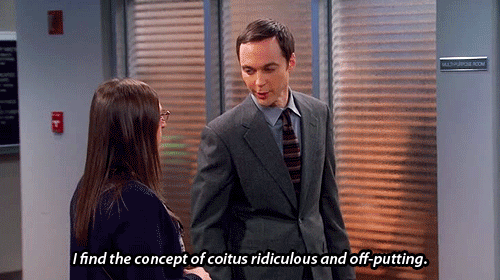 15 Terms Only "The Big Bang Theory" Fans Will Truly Understand 3