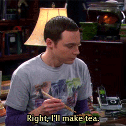 15 Terms Only "The Big Bang Theory" Fans Will Truly Understand 5