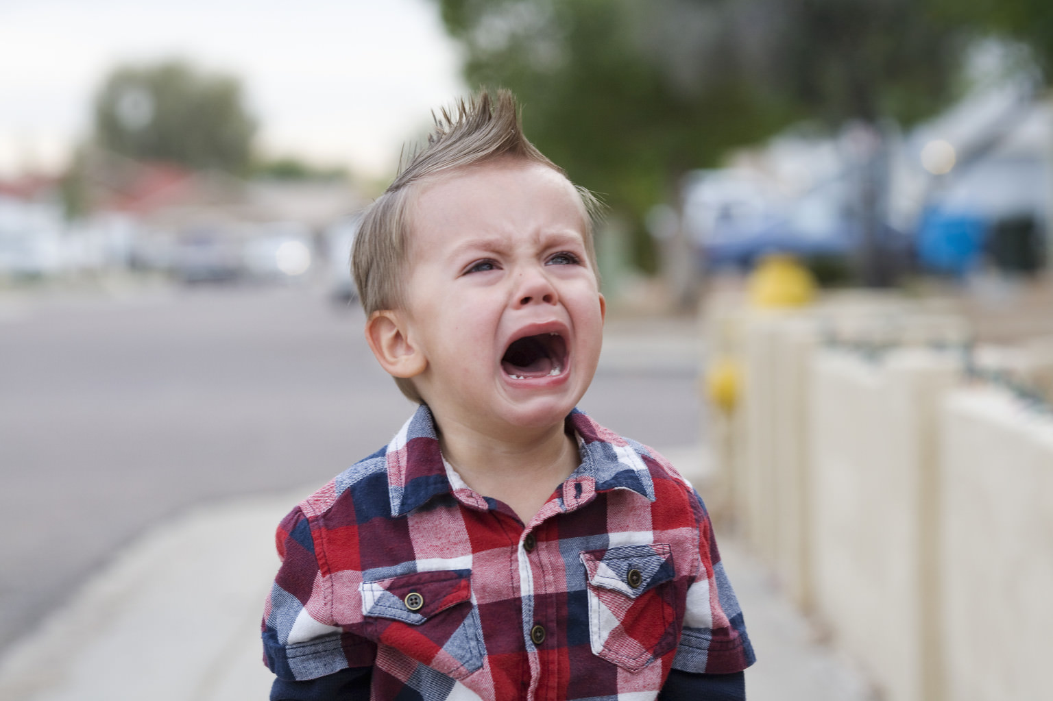 19 Kids Crying for the Silliest Imaginable Reasons