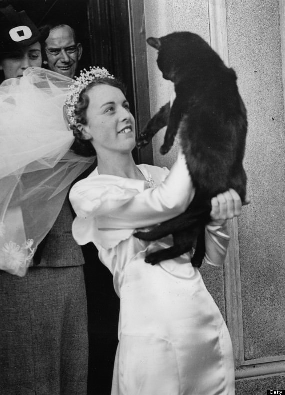 A bride with her black cat. It's a lucky charm for the matrimony. Photograph. Around 1935.