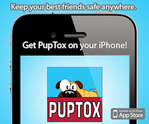 apps for pet owners