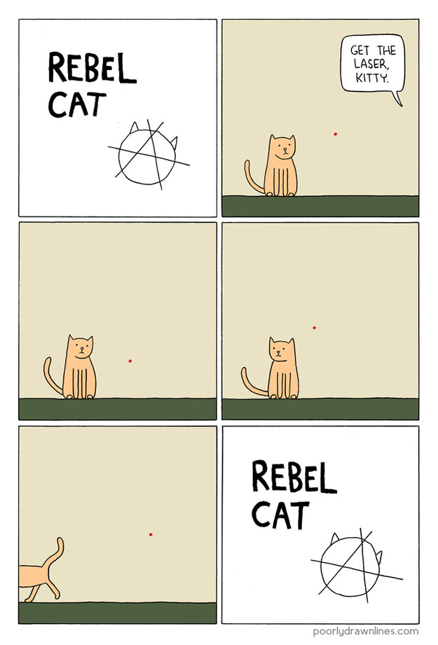 illustrations that sum up owning a cat