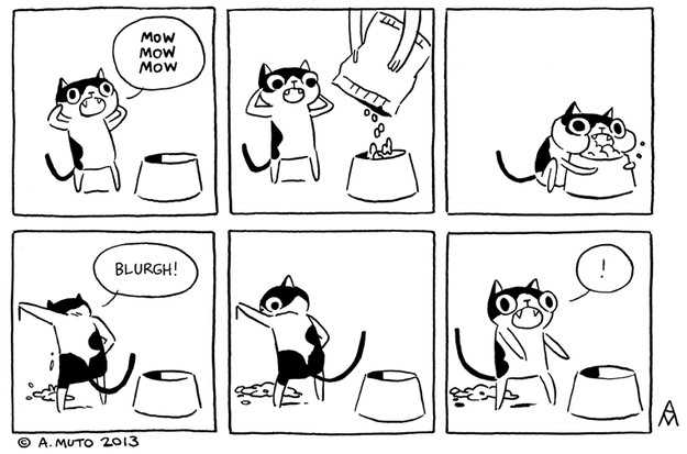 illustrations that sum up owning a cat