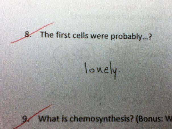 13 Hilarious Exam Answers Which Are Technically Correct – I Fainted On #11