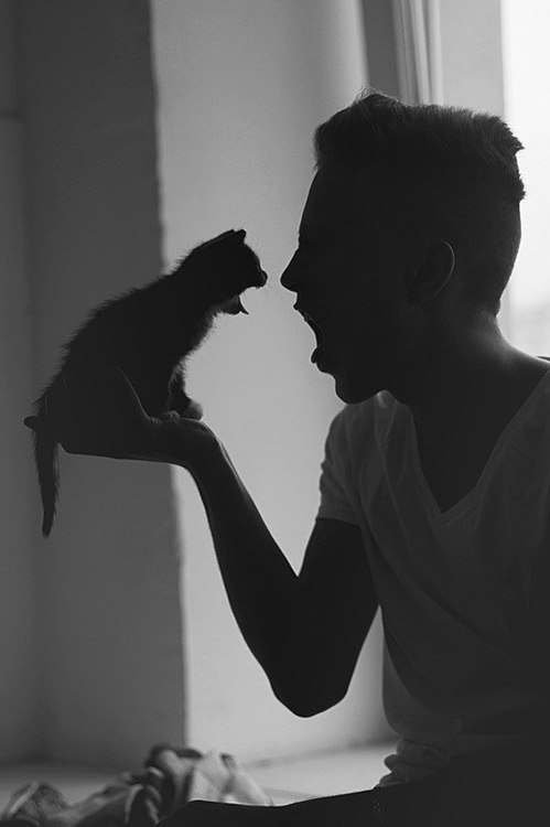 men who are obsessed with cats 