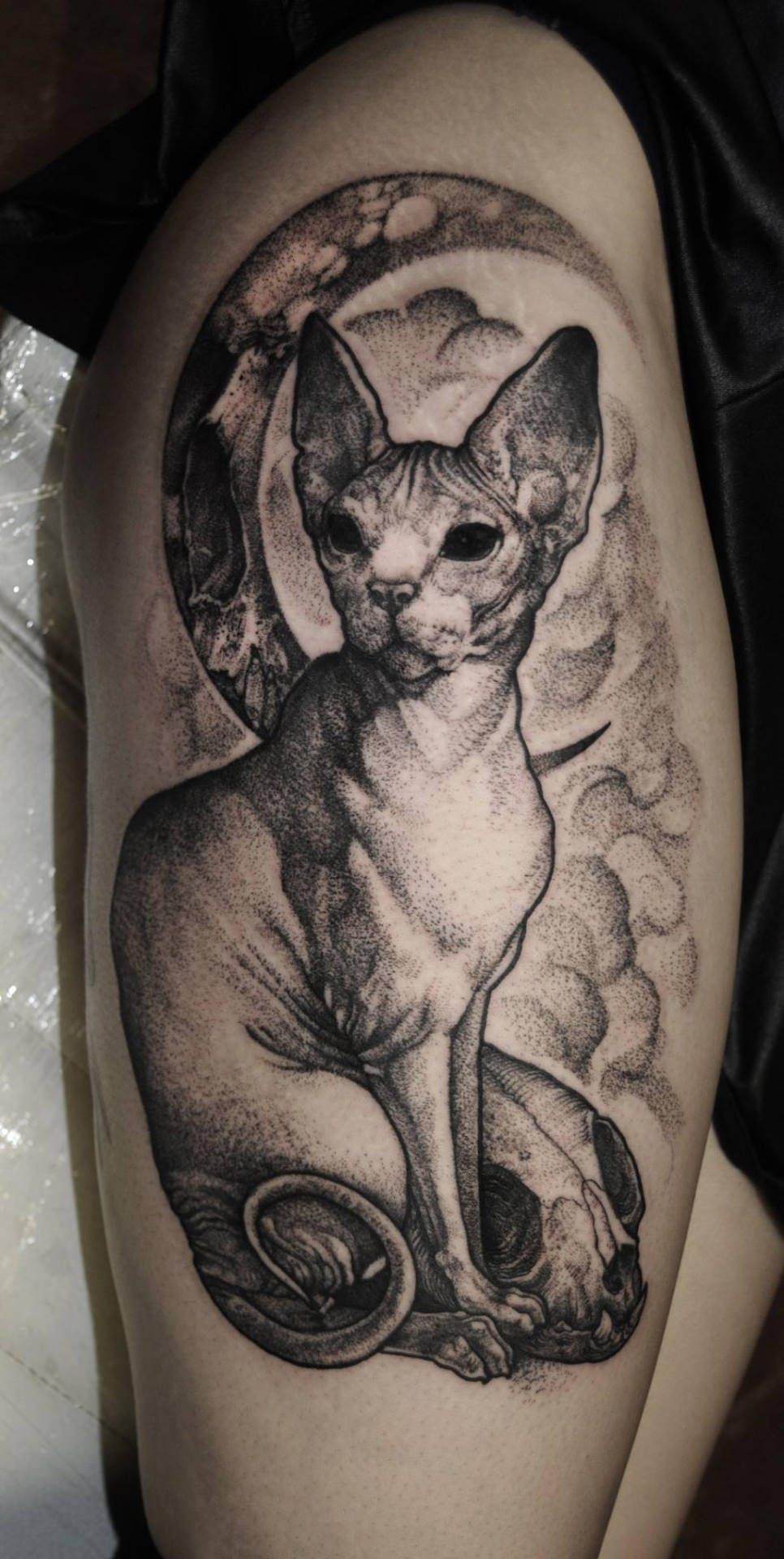 cat tattoos 