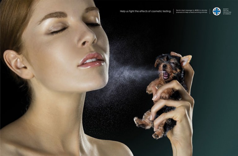 People Cried After Knowing These 15 Things They Do To Animal Tested Products