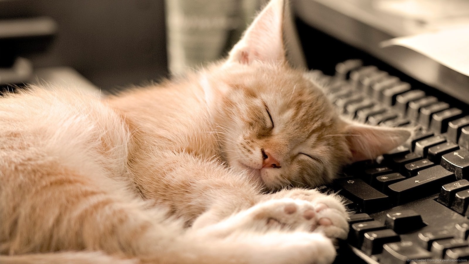 10 Interesting Facts About Napping – #5 is Pretty Convincing
