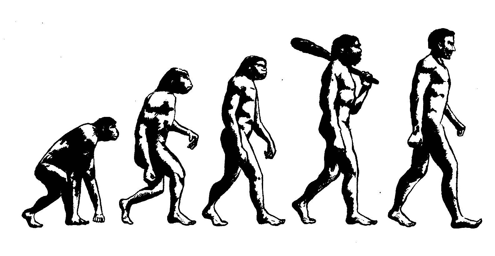 How We’d Look If Humans Evolved From Different Animals – I Don’t Want to Evolve from a Horse