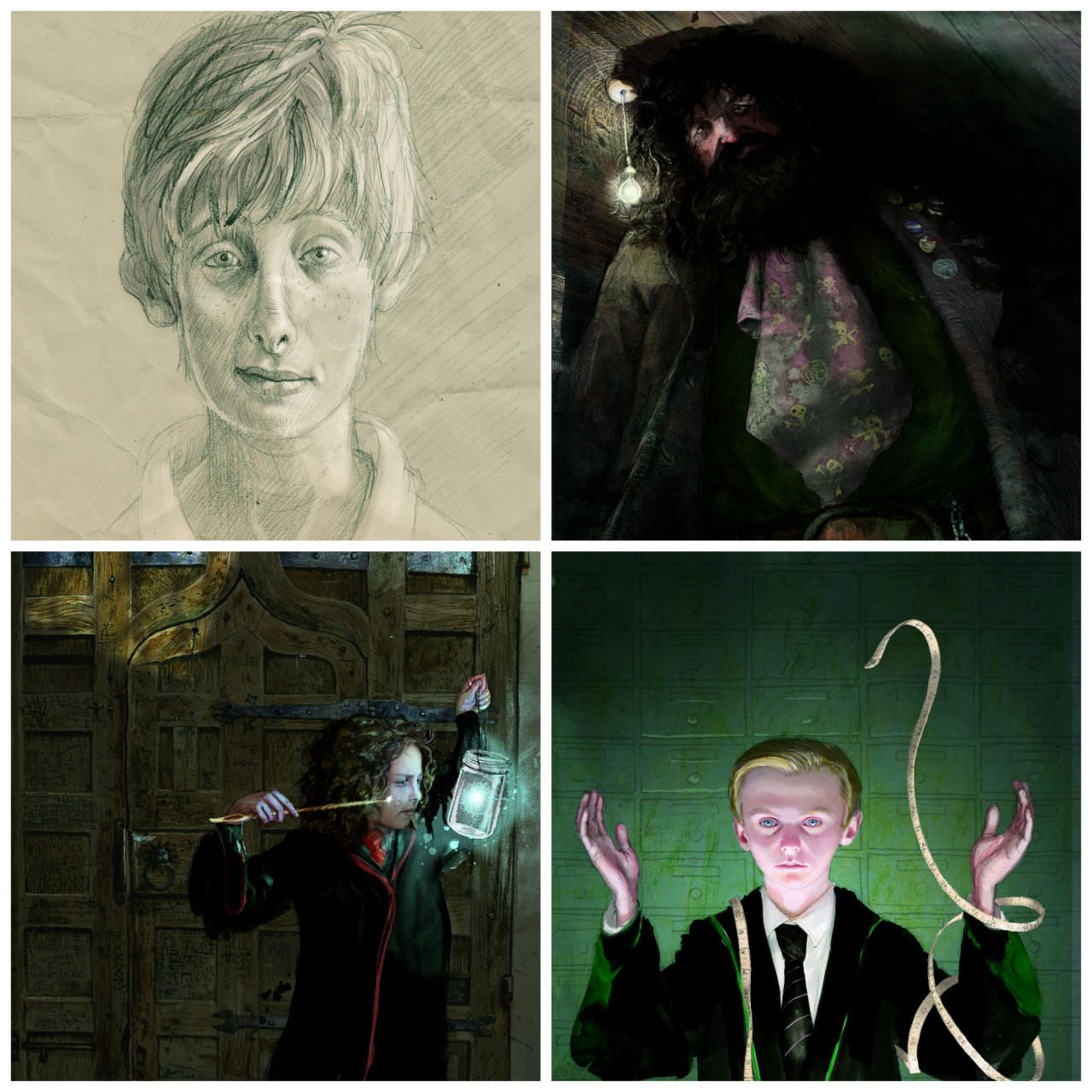 harry potter illustrated 