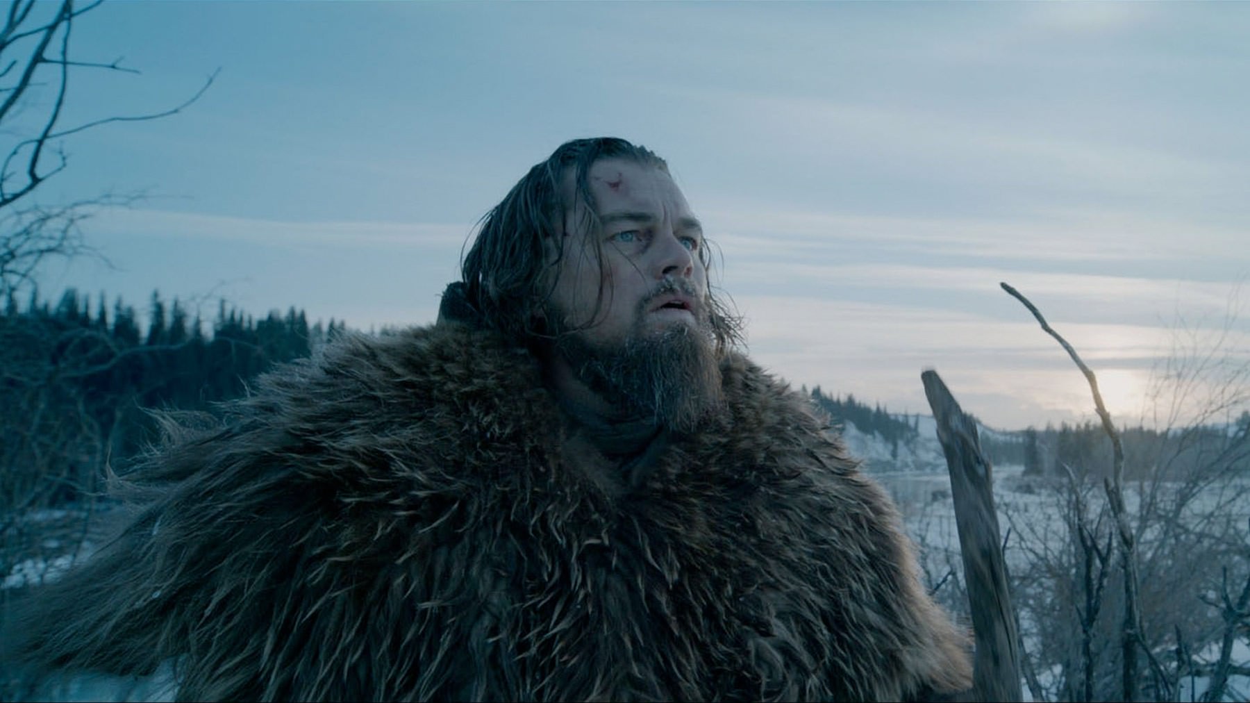 Leonardo DiCaprio Has Revealed The Lengths He Went To Acting In The Revenant. What Other Actors Have Gone To Insane Lengths While Filming?