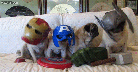cheer-up-pictures-pug-avengers