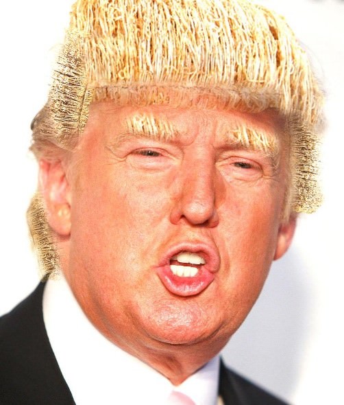 10 Coolest Alternative Uses for Donald Trump’s Hair – I Think #5 is Best!