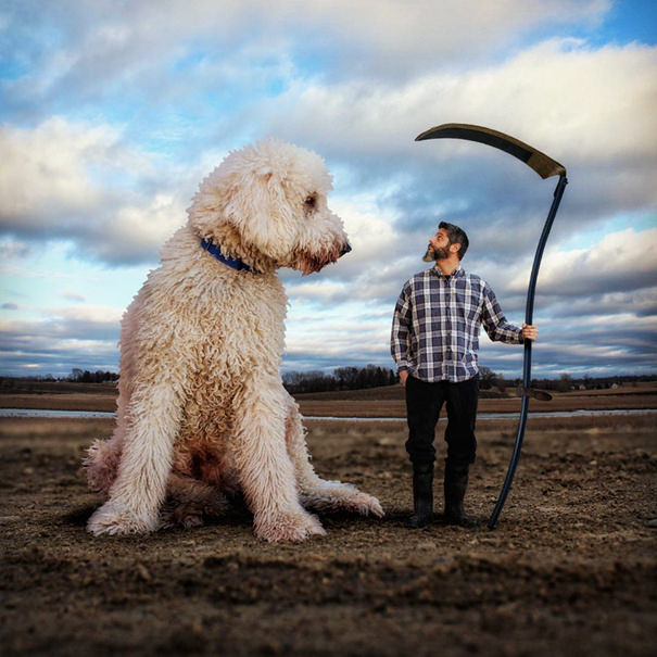 Man Supersizes His Dog and These Results Are So Incredibly Funny You’ll Want a Giant Dog!