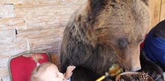 The Craziest Things You Will Probably Only Ever See In Russia