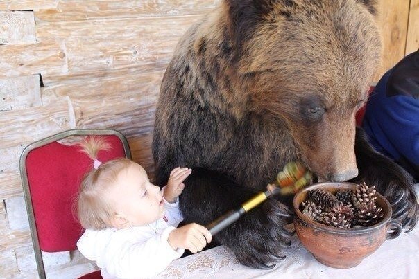 14 Craziest Things You Will Probably Only Ever See In Russia