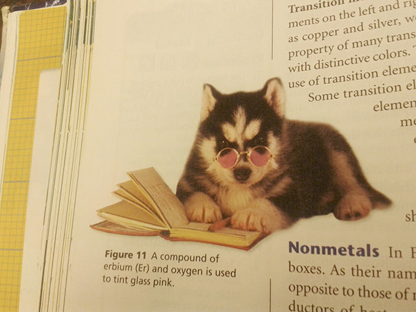 14 Most Random and Hilarious Things Found In Textbooks – #3 is Just Unbelievable