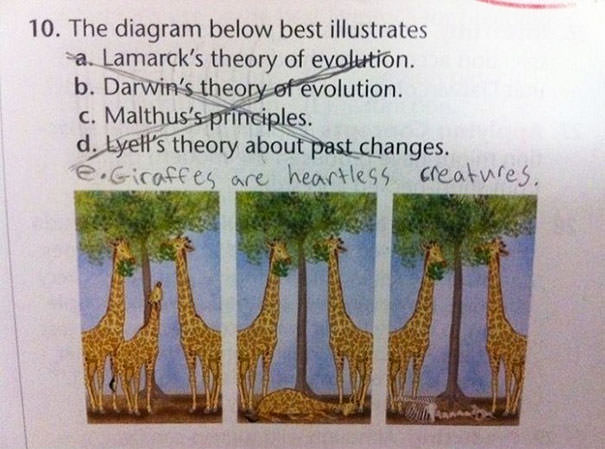 11 Of The Most Genius Kids’ Exam Answers To Make Your Day 6
