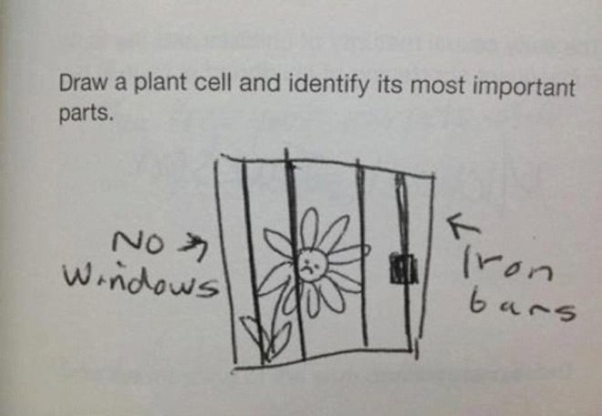11 Of The Most Genius Kids’ Exam Answers To Make Your Day 8