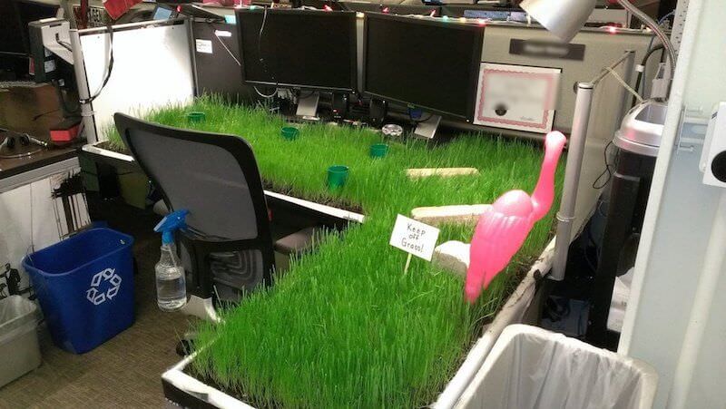 These Photos Of Office  Pranks  Have To Be Seen To Be Believed