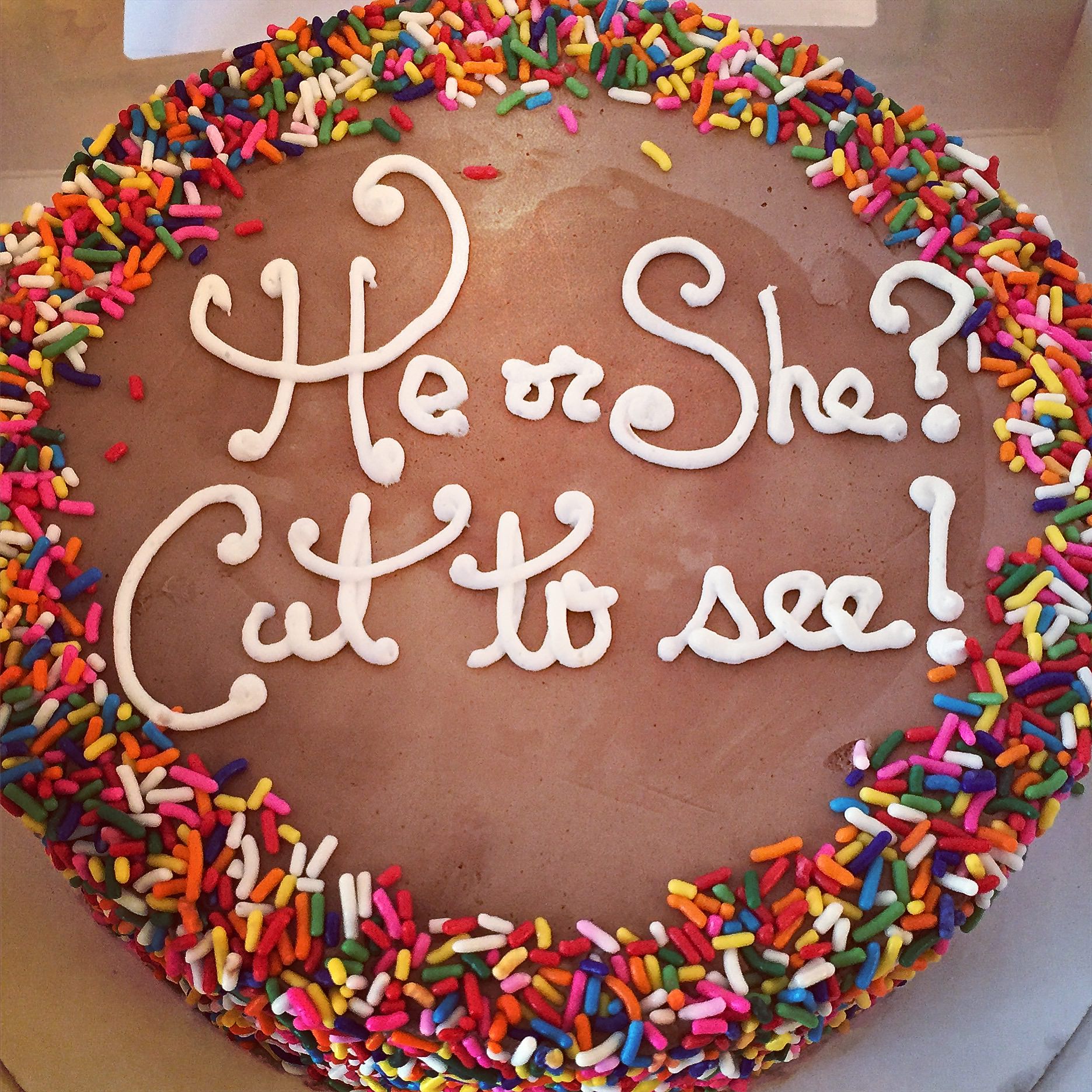 Best Gender Revealing Cakes You Will Ever See 4